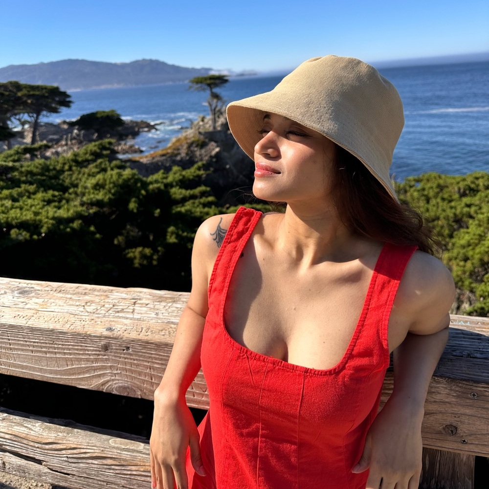 Meet your Posher, Lakshmi